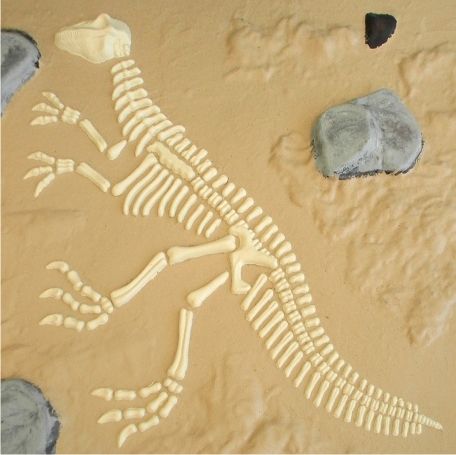 Dinosaur sandkasse base med skeletudgravning på sand.