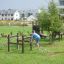 Børn leger på Netbro legepladsudstyr i parken